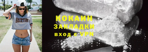 прущие грибы Михайлов