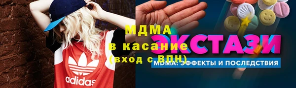 прущие грибы Михайлов