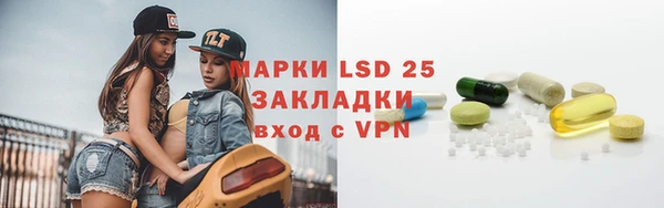 прущие грибы Михайлов