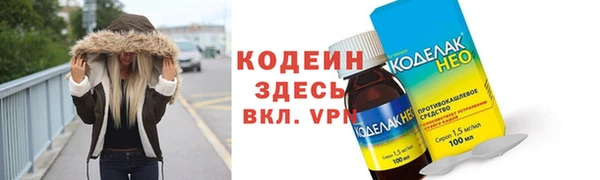 прущие грибы Михайлов
