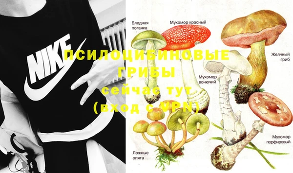 марки nbome Михайловка