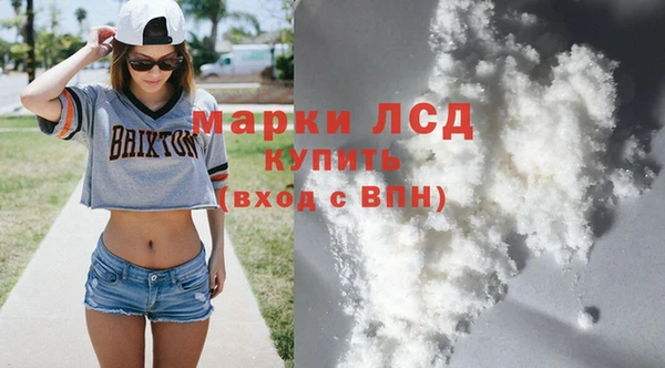 прущие грибы Михайлов