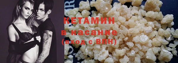 прущие грибы Михайлов