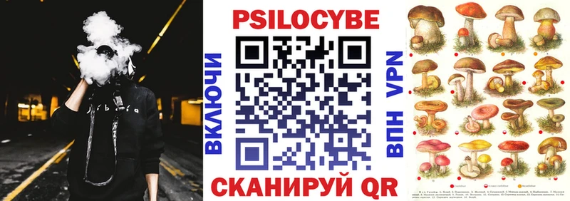 Псилоцибиновые грибы Cubensis  купить закладку  Нерехта 