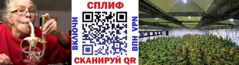 Каннабис THC 21%  Нерехта 